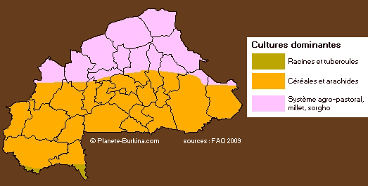 cultures dominantes au Burkina Faso