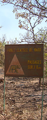 des panneaux indiquent les lieux de passage des éléphants sur au coeur de la forêt de Maro, le long de l'axe Bobo-Dédougou