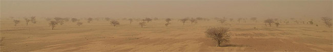 Réserve sylvo-pastorale et partielle de faune du Sahel au Burkina Faso