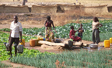 maraîchers autour du puits à la sortie de Léo