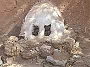 Crèche Burkina Faso  architecture